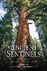H. Thomas Harvey, H. Thomas/ Kuhn Harvey, Thomas Harvey, Pete Devine, BILL KUHN - Ancient Sentinels