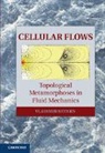 V. N. Shtern, Vladimir Shtern, Shtern Vladimir - Cellular Flows