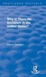 Michael Harrington, Patricia M. Hocking, C. T. Husbands, Sombart, W Sombart, Werner Sombart... - Revival: Why Is There No Socialism in the United States? (1976)