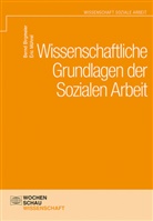 Bern Birgmeier, Bernd Birgmeier, Eric Mührel - Wissenschaftliche Grundlagen der Sozialen Arbeit