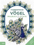 Farbenfrohe Vögel