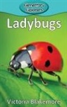 Victoria Blakemore - Ladybugs