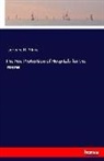 Lawrence H Prince, Lawrence H. Prince - The Fire Protection of Hospitals for the Insane