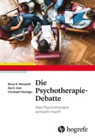 Christoph Flückiger, Zac Imel, Zac E Imel, Zac E. Imel, Bruce Wampold, Bruce E Wampold... - Die Psychotherapie-Debatte