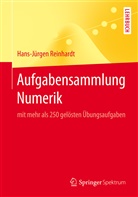 Hans-Jürgen Reinhardt - Aufgabensammlung Numerik