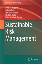 Martin Grambow, Martin Grambow et al, Klaus Mainzer, Michael Molls, Ortwi Renn, Ortwin Renn... - Sustainable Risk Management