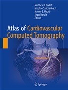 Stephan S. Achenbach, Matthew J. Budoff, Harvey S. Hecht, Jagat Narula, Stepha S Achenbach, Stephan S Achenbach... - Atlas of Cardiovascular Computed Tomography
