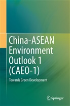 China-ASEAN Environmental Cooperation, China-ASEAN Environmental Cooperation Center - China-ASEAN Environment Outlook 1 (CAEO-1)