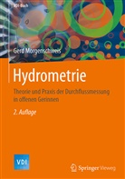 Gerd Morgenschweis - Hydrometrie