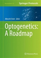 Albrech Stroh, Albrecht Stroh - Optogenetics: A Roadmap