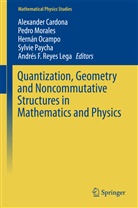 Alexander Cardona, Pedr Morales, Pedro Morales, Hernán Ocampo, Hernán Ocampo et al, Sylvie Paycha... - Quantization, Geometry and Noncommutative Structures in Mathematics and Physics