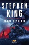 Stephen King - King, S: Terre desolate. La torre nera