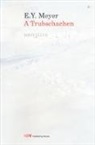 E. Y. Meyer, M. Valsangiacomo - A Trubschachen