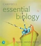 Rebecca Burton, Jean L. Dickey, Jane B. Reece, Eric J. Simon, SIMON ERIC J. - Campbell Essential Biology