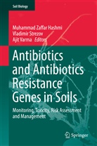 Muhammad Zaffar Hashmi, Vladimi Strezov, Vladimir Strezov, Ajit Varma - Antibiotics and Antibiotics Resistance Genes in Soils