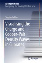 Stephen Edkins - Visualising the Charge and Cooper-Pair Density Waves in Cuprates