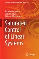 Moh Benhayoun, Mohamed Benhayoun, Abdella Benzaouia, Abdellah Benzaouia, Foua Mesquine, Fouad Mesquine - Saturated Control of Linear Systems