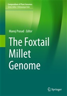 Mano Prasad, Manoj Prasad - The Foxtail Millet Genome