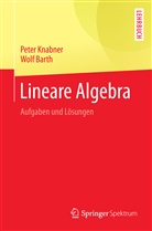 Wolf Barth, Wolf (Prof. Dr.) Barth, Peter Knabner, Peter (Prof. Dr. Knabner, Peter (Prof. Dr.) Knabner - Lineare Algebra