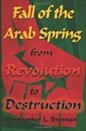 Christopher L Brennan, Christopher L. Brennan - Fall of the Arab Spring