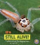 Nikki Potts - It's Still Alive!
