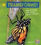 Nikki Potts - It Transforms!
