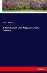 John F Whitney - A Brief Account of St. Augustine and its Environs