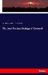 William Augustus Edmond Ussher - The post-Tertiary Geology of Cornwall