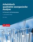 Dirk Häfner - Arbeitsbuch qualitative anorganische Analyse