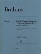 Johannes Brahms, Katharina Loose-Einfalt - Johannes Brahms - Klarinettentrio a-moll op. 114 für Klavier, Klarinette (Viola) und Violoncello