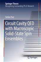 Stefan Putz - Circuit Cavity QED with Macroscopic Solid-State Spin Ensembles
