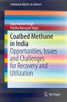 Partha Narayan Hajra, Ajay K. Singh, Ajay Kuma Singh, Ajay Kumar Singh - Coalbed Methane in India