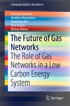 Mudith Abeysekera, Muditha Abeysekera, Nick Jenkins, Meysa Qadrdan, Meysam Qadrdan, Bethan Winter... - The Future of Gas Networks