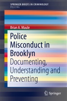 Brian A Maule, Brian A. Maule - Police Misconduct in Brooklyn