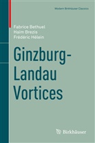 Fabric Bethuel, Fabrice Bethuel, Haï Brezis, Haim Brezis, Haïm Brezis, Frederic Helein... - Ginzburg-Landau Vortices