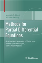 Marcelo Ebert, Marcelo R Ebert, Marcelo R. Ebert, Michael Reissig - Methods for Partial Differential Equations