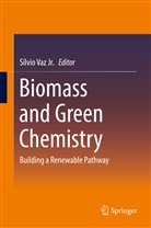 Sílvio Vaz, Sílvi Vaz Jr, Silvio Vaz Jr, Sílvio Vaz Jr, Sílvio Vaz Jr. - Biomass and Green Chemistry