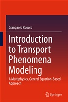 Gianpaolo Ruocco - Introduction to Transport Phenomena Modeling