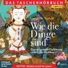 Lama Ole Nydahl, Ole Nydahl, Axel Wostry - Wie die Dinge sind, 1 MP3-CD (Audio book)