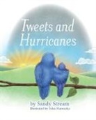 Sandy Stream, Yoko Matsuoka - Tweets and Hurricanes