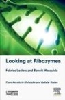 Fabrice Leclerc, Fabrice (Institute for Integrative Biology of the Cell (I2BC) Leclerc, Fabrice (Institute for Integrative Biology of the Cell (IBC) Leclerc, Benoit Masquida, Benoît Masquida, Benoit (Genomique Moleculaire Masquida - Looking at Ribozymes