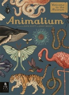 Jenny Broom, Broom Jenny, Katie Scott Limited, Katie Scott, Scott Katie - Animalium