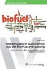 Lukas Schmid - Teermessung in Gasströmen aus der Biomassevergasung