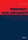 Yakov Kronrod, Davi Mandel, David Mandel - Democracy, Plan, and Market: Yakov Kronrod's Political Economy of Socialism