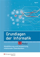 Wolfgang Braun - Grundlagen der Informatik - Modul 5: Modellierung und Auswertung relationaler Datenbanken