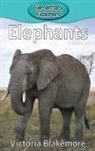 Victoria Blakemore - Elephants