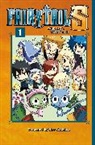Hiro Mashima - Fairy Tail's