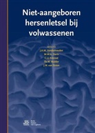 C. J. J. Avezaat, M. M. A. Derix, Th. W. Mulder, Jan W. van Strien, J. A. M. Vandermeulen, C. J. J. Avezaat... - Niet-aangeboren hersenletsel bij volwassenen