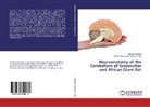 Byane Obadiah, Byanet Obadiah, Barth I Onyeanusi Samuel A Ojo, Barth I. Onyeanusi Samuel A. Ojo - Neuroanatomy of the Cerebellum of Grasscutter and African Giant Rat