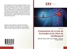 Carine Pavy - Comparaison de la voie de Guiraudon et du sillon de Sondergaard